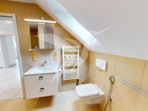 Pronájem atypického bytu, Město Touškov, Čemínská, 72 m2