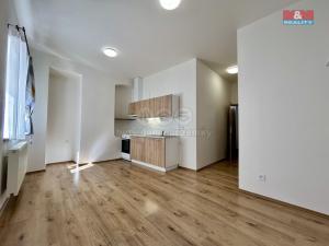 Pronájem bytu 1+kk, Jindřichův Hradec - Jindřichův Hradec I, nám. Míru, 25 m2