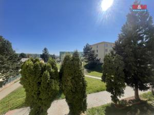 Pronájem bytu 1+kk, Postoloprty, Jiráskovo náměstí, 20 m2