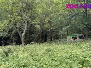 Prodej louky, Vejprty, 3188 m2