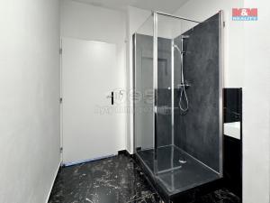 Pronájem obchodního prostoru, Ostrava - Mariánské Hory, 28. října, 70 m2