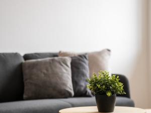 Prodej bytu 2+kk, Žacléř, Rýchorské náměstí, 37 m2