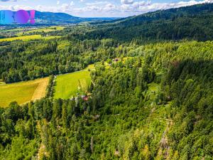 Prodej lesa, Písek, 12430 m2