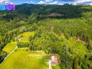 Prodej lesa, Písek, 12430 m2