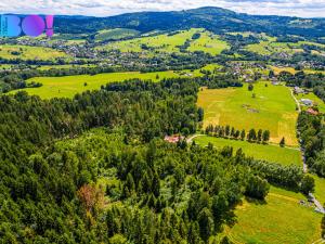 Prodej lesa, Písek, 12430 m2