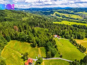 Prodej lesa, Písek, 12430 m2