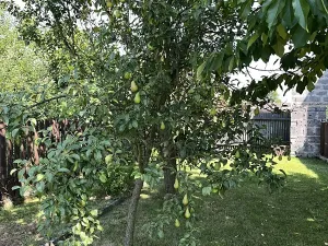 Prodej rodinného domu, Jistebník, 550 m2