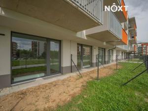 Pronájem bytu 1+kk, Olomouc, Aloise Rašína, 28 m2