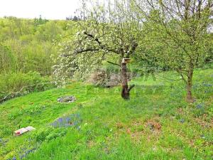 Prodej zahrady, Kralupy nad Vltavou, Lobeč, 346 m2