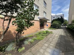 Pronájem bytu 1+1, Hodonín, Kolískova, 31 m2