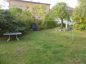 Pronájem bytu 1+kk, Nový Bor, Palackého náměstí, 30 m2