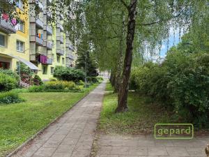 Pronájem bytu 3+1, Olomouc, Jílová, 72 m2