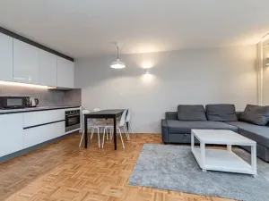Pronájem bytu 2+kk, Jihlava, Čajkovského, 41 m2