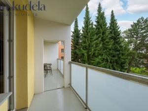 Prodej bytu 2+1, Brno, Záhřebská, 50 m2