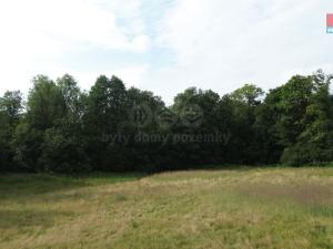 Prodej zahrady, Červený Kostelec - Olešnice, 8220 m2