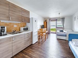 Prodej bytu 1+kk, Frymburk - Kovářov, 32 m2