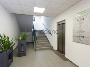 Pronájem kanceláře, Praha, Jana Růžičky, 42 m2