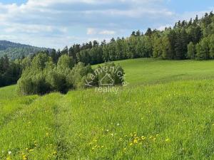 Prodej pozemku pro bydlení, Malšín, 113244 m2