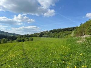 Prodej pozemku pro bydlení, Malšín, 113244 m2