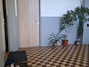 Prodej bytu 2+1, Veselí nad Lužnicí, Pod Markem, 56 m2