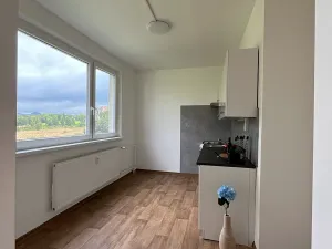 Pronájem bytu 4+1, Česká Lípa, Okružní, 82 m2