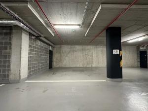 Pronájem bytu 3+kk, Praha - Karlín, Křižíkova, 131 m2