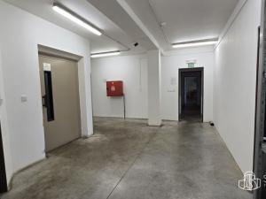 Pronájem obchodního prostoru, Sokolov, Trocnovská, 876 m2