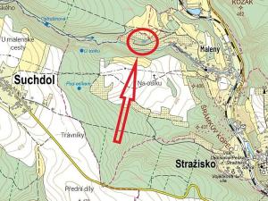 Prodej lesa, Stražisko, 805 m2