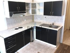 Pronájem bytu 1+1, Plzeň - Východní Předměstí, Zahradní, 29 m2