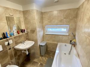 Pronájem bytu 1+kk, Plzeň - Severní Předměstí, Kotíkovská, 37 m2