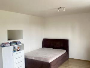 Pronájem bytu 1+kk, Plzeň - Severní Předměstí, Kotíkovská, 37 m2