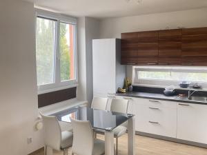 Pronájem bytu 1+kk, Plzeň - Severní Předměstí, Kotíkovská, 37 m2
