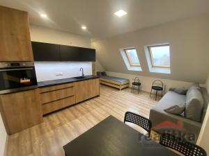 Pronájem bytu 1+kk, Opava - Předměstí, Rooseveltova, 30 m2