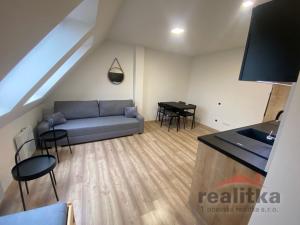 Pronájem bytu 1+kk, Opava - Předměstí, Rooseveltova, 30 m2