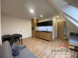 Pronájem bytu 1+kk, Opava - Předměstí, Rooseveltova, 30 m2