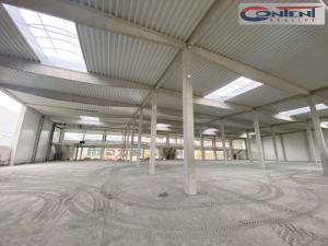 Pronájem výrobních prostor, Benátky nad Jizerou - Benátky nad Jizerou II, Průmyslová, 10232 m2