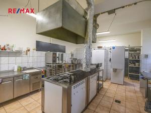 Prodej obchodního prostoru, Čelákovice, Rumunská, 1290 m2