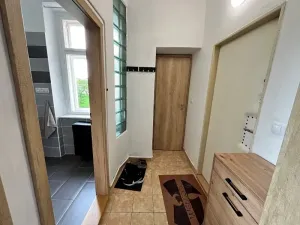 Prodej bytu 1+1, Jihlava, Březinovy sady, 41 m2