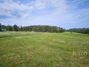 Prodej pozemku pro bydlení, Dobev - Velké Nepodřice, 8980 m2
