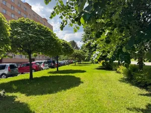 Pronájem bytu 1+1, Orlová, Kpt. Jaroše, 40 m2