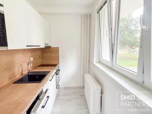 Pronájem bytu 1+kk, Kolín, Na Magistrále, 30 m2