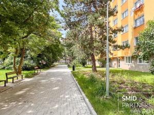 Pronájem bytu 1+kk, Kolín, Na Magistrále, 30 m2
