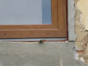 Dražba chalupy, Plzeň, K Ráji, 10 m2
