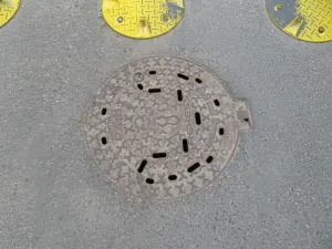 Dražba chalupy, Plzeň, K Ráji, 10 m2