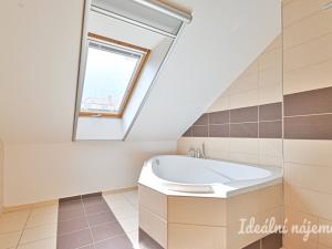 Pronájem bytu 5+kk, Brno, Merhautova, 136 m2