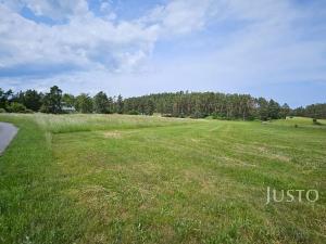 Prodej komerčního pozemku, Dobev, 8980 m2