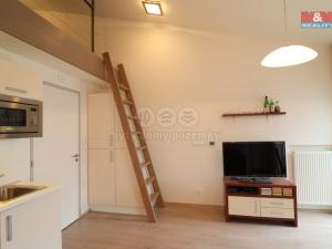 Prodej bytu 1+kk, Loučná pod Klínovcem - Loučná, 25 m2