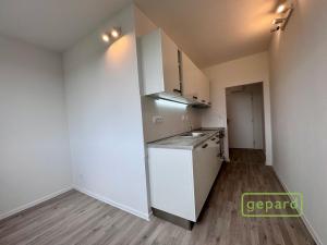Pronájem bytu 2+1, Veselí nad Lužnicí, K Zastávce, 59 m2