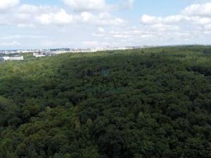 Prodej bytu 2+kk, Praha - Krč, Štúrova, 39 m2