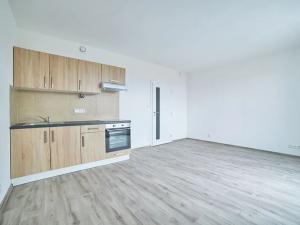 Pronájem bytu 1+kk, Plzeň, Železniční, 27 m2